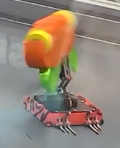 Snek pfp