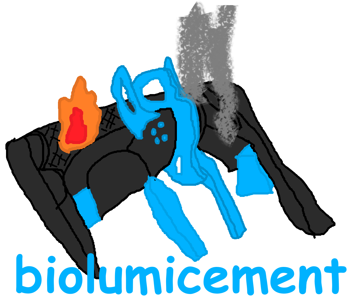 Bioluminescent2