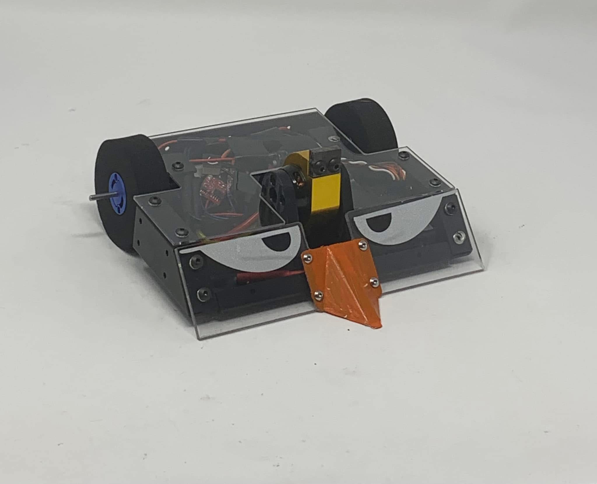 Img 2941