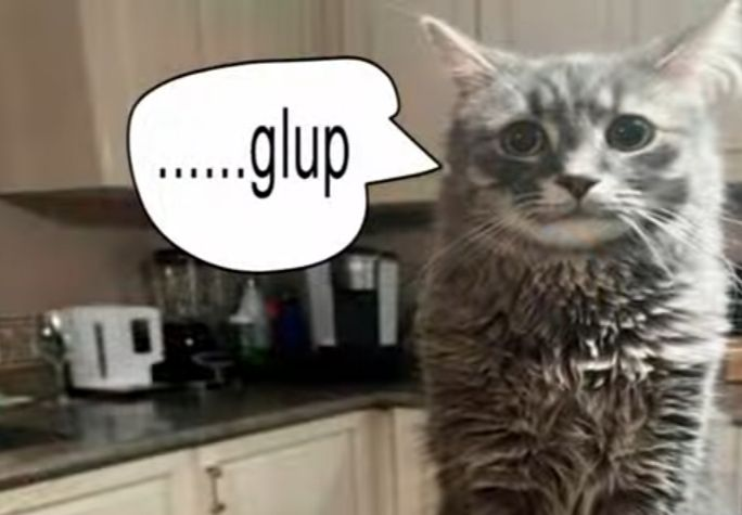 Image 2025 10 17 001826709